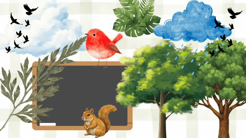 nature themed classroom decor