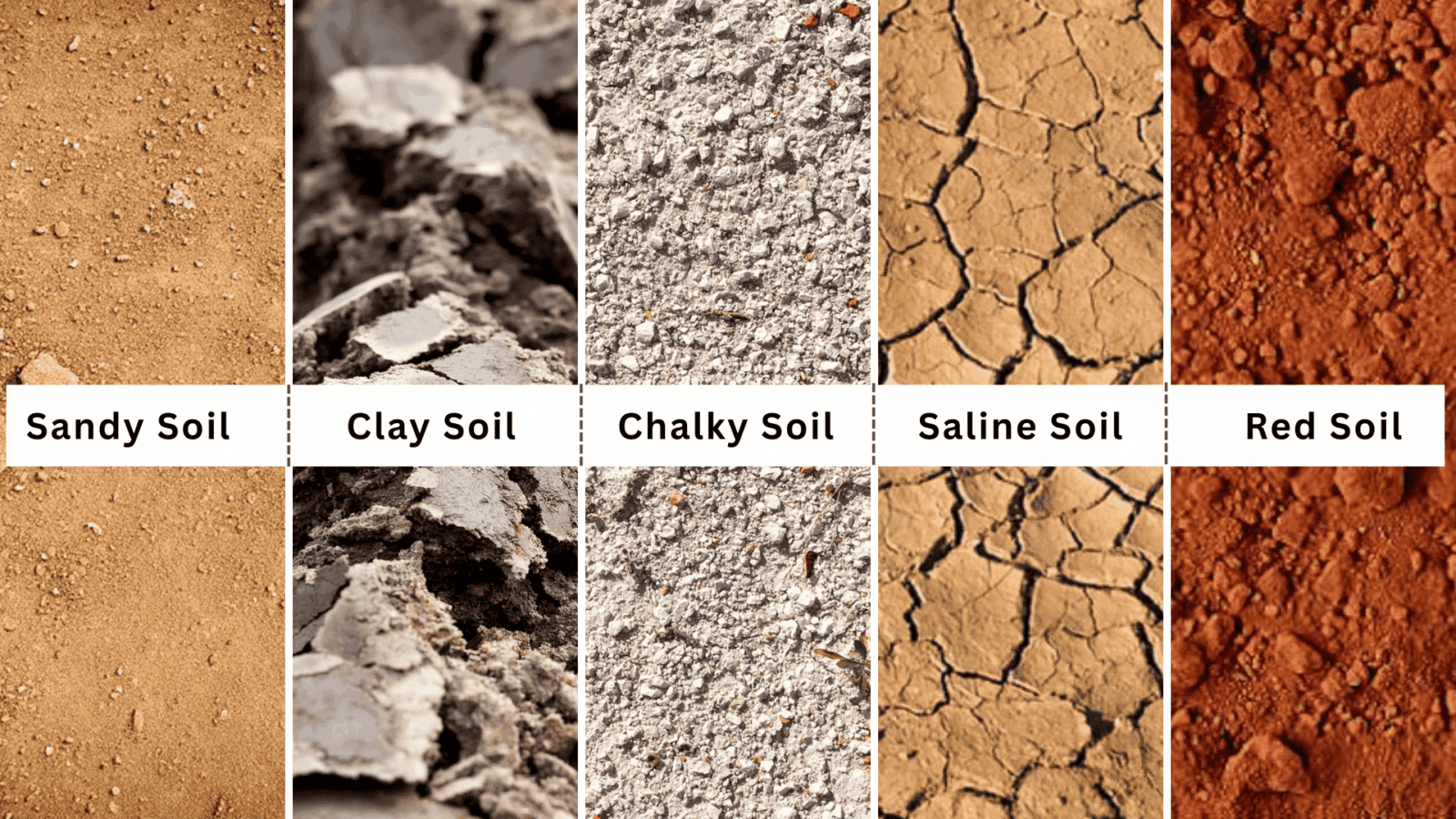 Primary Soil Types Different Types of Soil and Their Key Properties - Enthralling Gumption