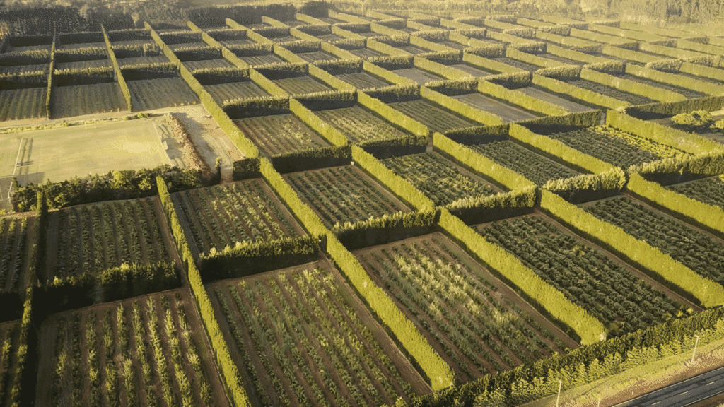 windbreaks and shelterbelts soil conservation methods