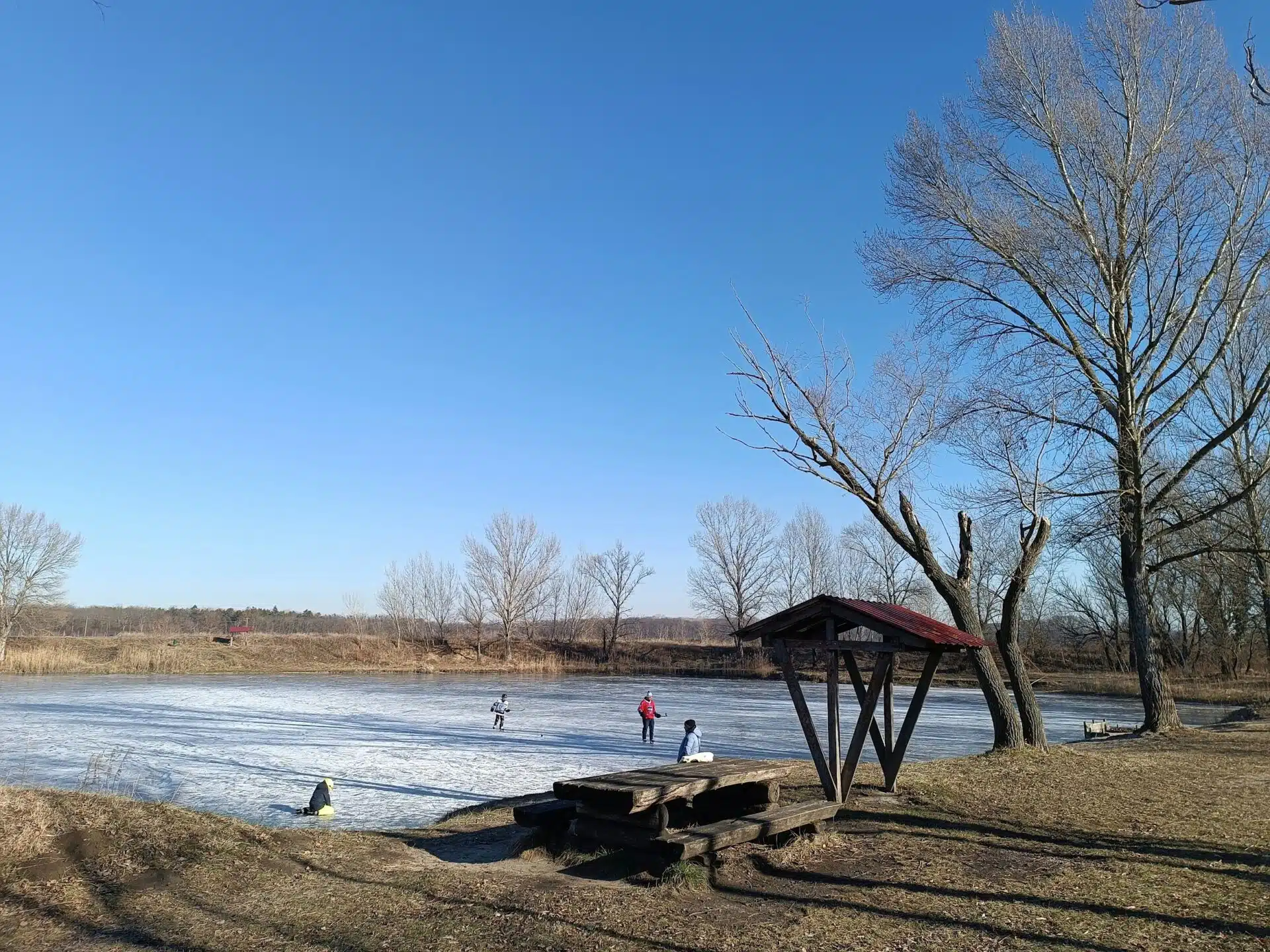 My Ice Eater Stopped Working: A Winter Pond Emergency Guide