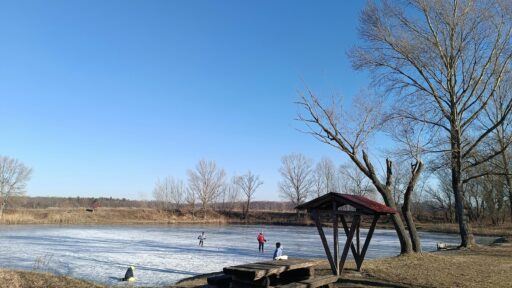 My Ice Eater Stopped Working: A Winter Pond Emergency Guide