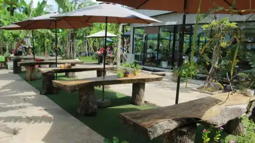 Outdoor Bar