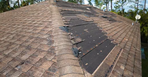 Why Roof Leaks Are So Common in Older Philadelphia Homes