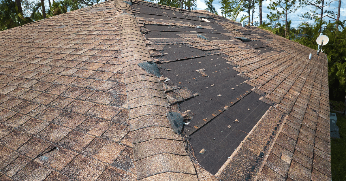 Why Roof Leaks Are So Common in Older Philadelphia Homes