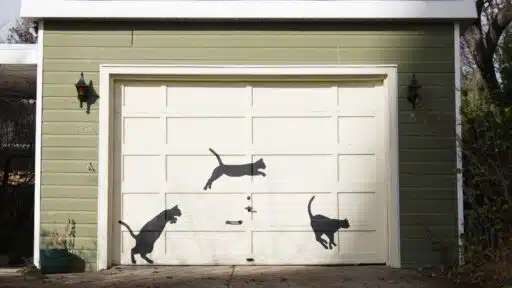 Garage Door Experts