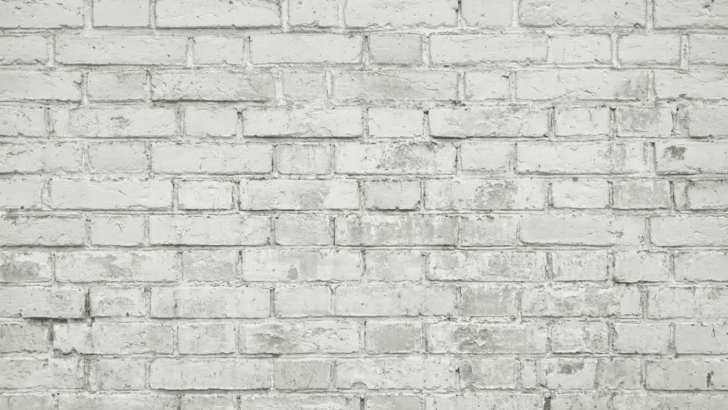 drying the first coat of lime wash