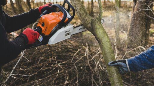 Cutting Healthy Trees