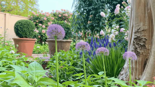 layout perennial flower garden design plans