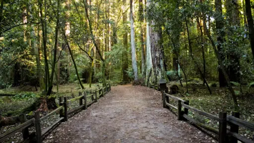 How Outdoor Spaces Are Becoming the New Living Rooms