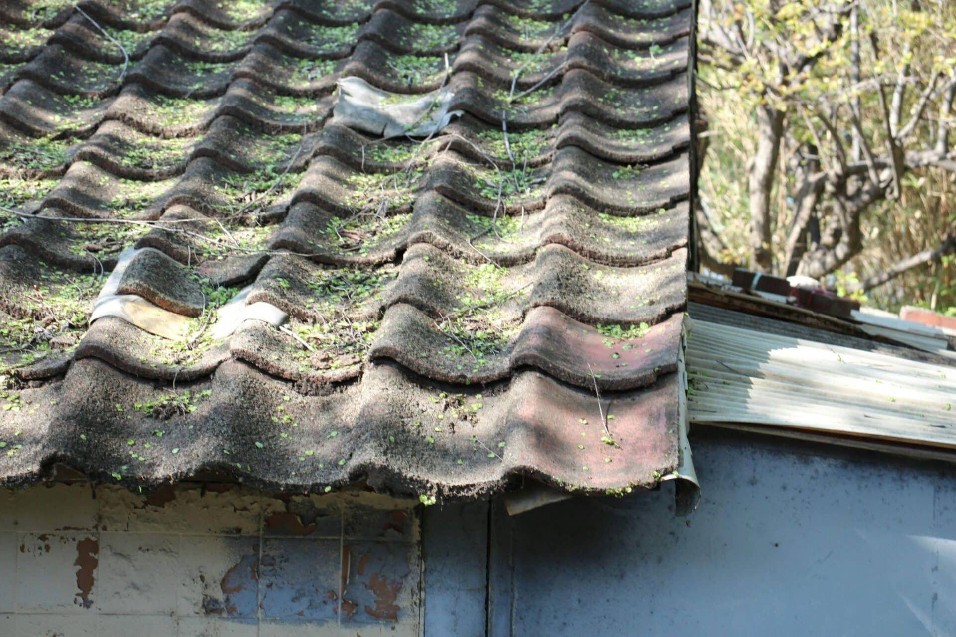 Top 5 Signs Your Roof Needs Repair