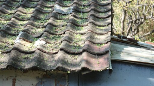 Top 5 Signs Your Roof Needs Repair