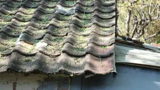 Top 5 Signs Your Roof Needs Repair