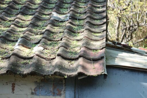 Top 5 Signs Your Roof Needs Repair