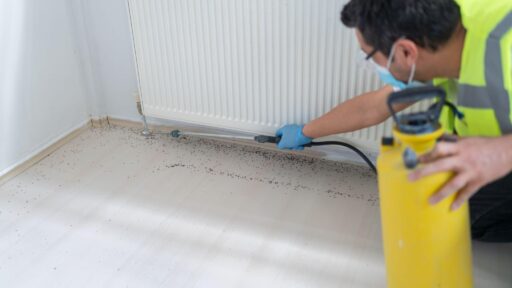 When to Call an Exterminator in Calgary: Signs You Shouldn’t Ignore