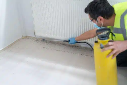 When to Call an Exterminator in Calgary: Signs You Shouldn’t Ignore