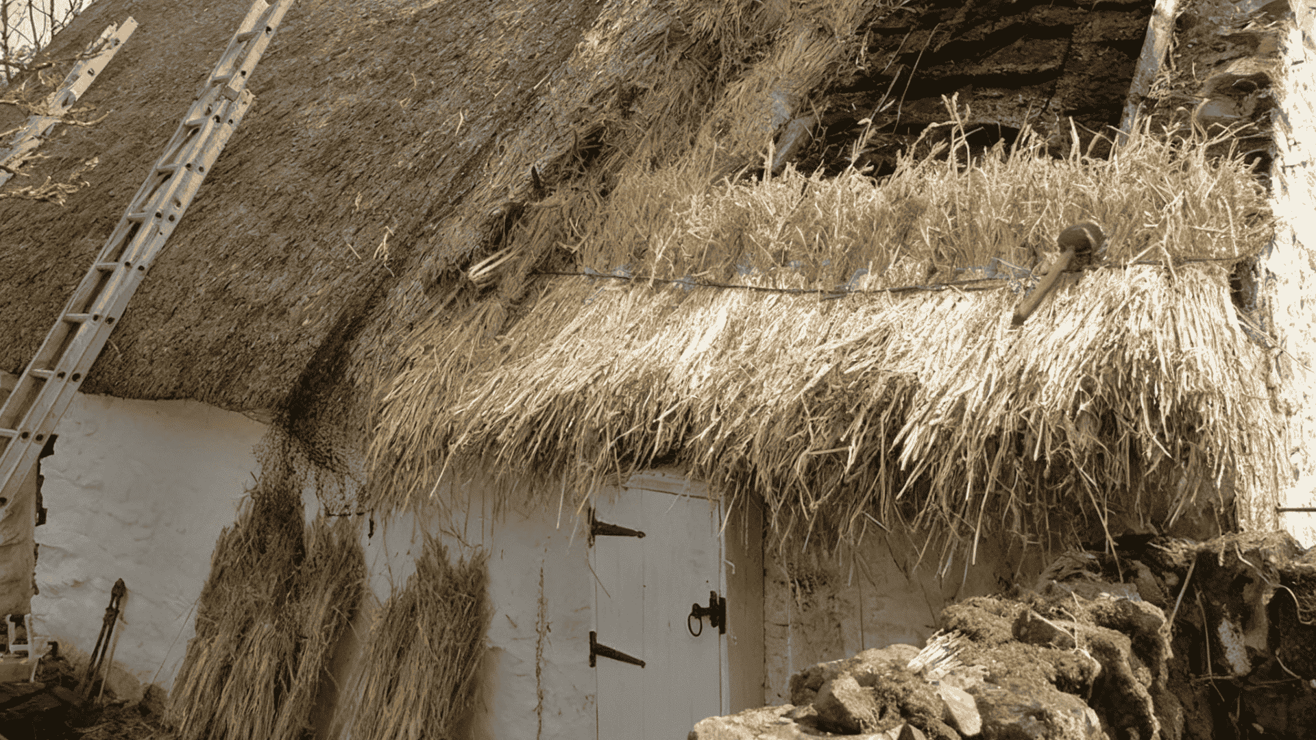 _Thatched cottage roof under repair with ladder leaning against straw roof and bundles of dried thatch around a white door.