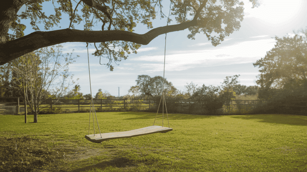 a simple wooden tree swing hanging from a thick strong branch in a lush green backyard on a bright and pleasant sunny afternoon