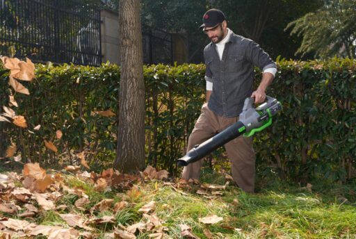 Why Homeowners Are Treating Their Yards Like Outdoor Living Rooms