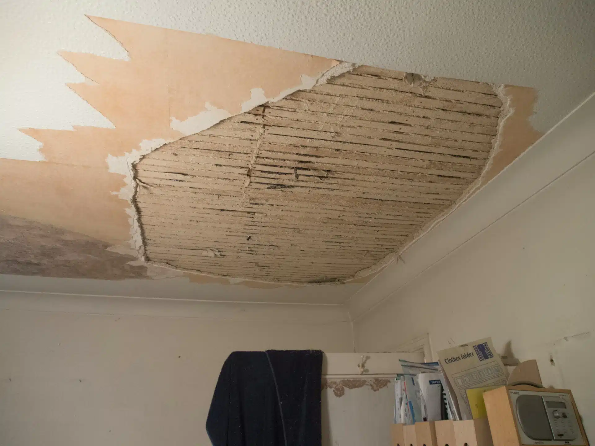 Roof Leaks