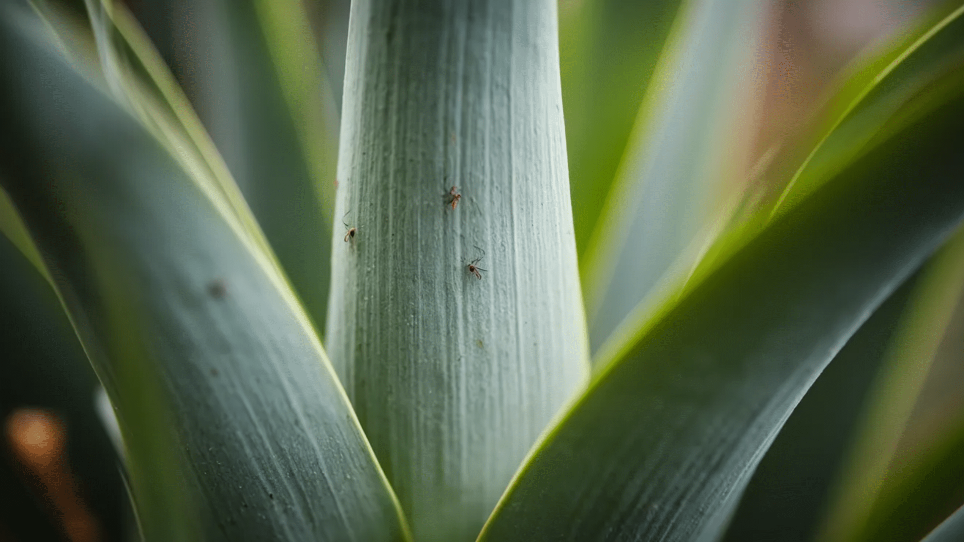 close-up of a green plant leaf with a few small thrips insects visible on the surface in a garden setting