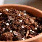 close-up of potting soil with perlite in a terracotta pot, showing texture and drainage mix for plants