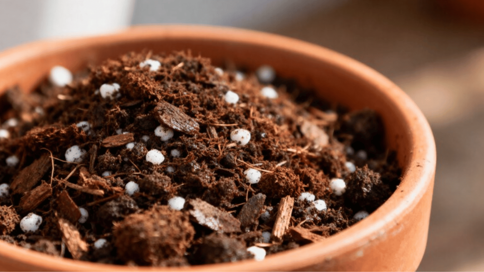 close-up of potting soil with perlite in a terracotta pot, showing texture and drainage mix for plants