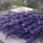 freshly cut lavender stems arranged on a wooden surface ready for drying at home to preserve fragrance and color