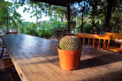 Outdoor Surfaces