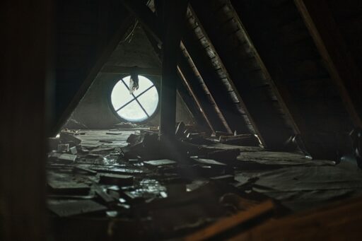 Attic Cleaning