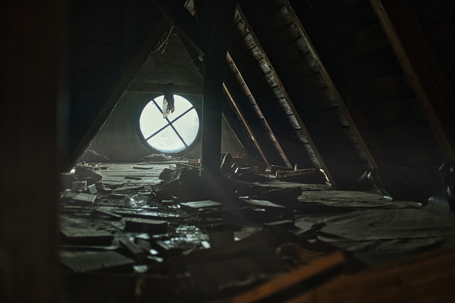 Attic Cleaning