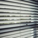 Window Blinds