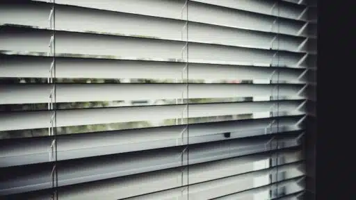 Window Blinds