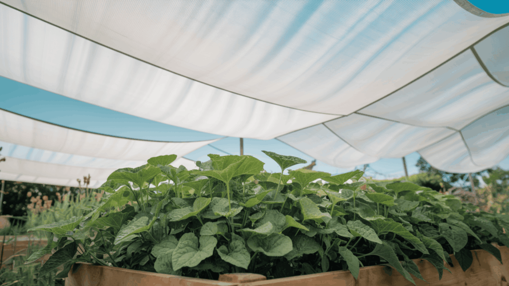 white shade cloth stretched over a raised garden bed to protect plants from extreme heat during peak afternoon sun