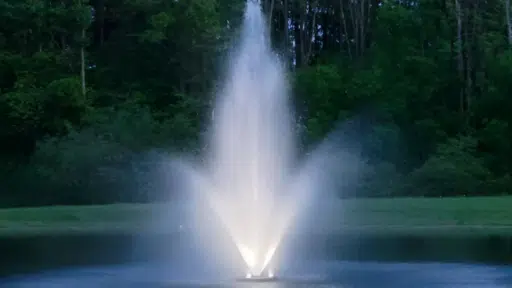Fountain spraying water in a pond.