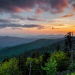 How Natural Surroundings Influence Real Estate Decisions