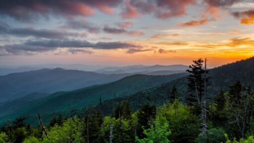 How Natural Surroundings Influence Real Estate Decisions