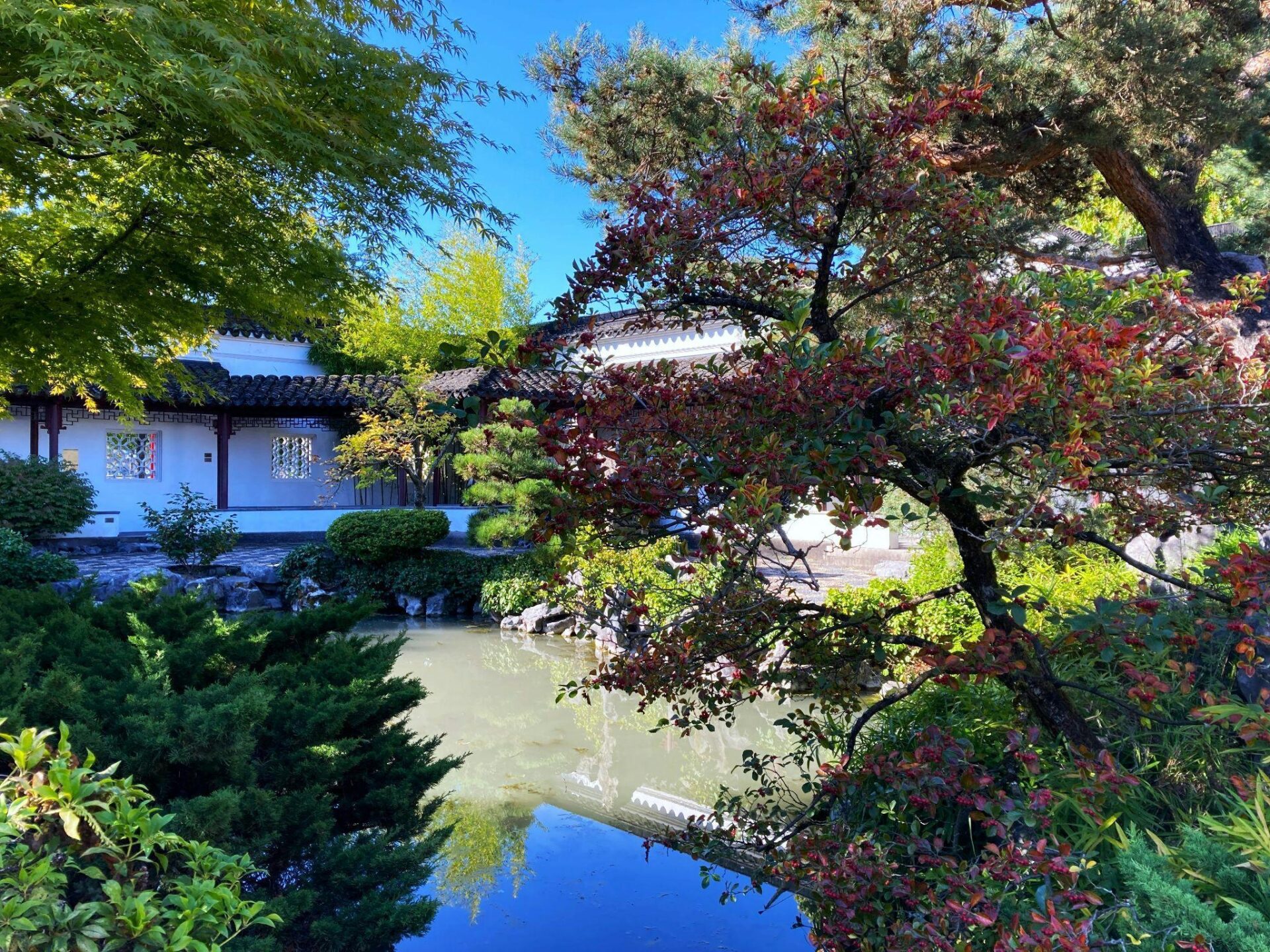 Adding a Pond to Your Outdoor Living Space: Design, Setup, and Year Round Maintenance
