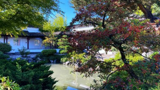 Adding a Pond to Your Outdoor Living Space: Design, Setup, and Year Round Maintenance