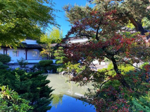 Adding a Pond to Your Outdoor Living Space: Design, Setup, and Year Round Maintenance