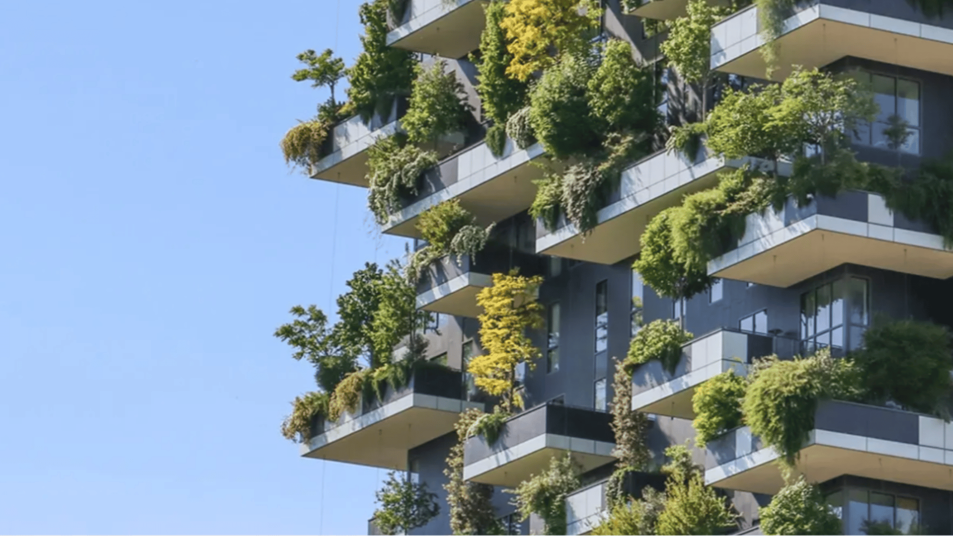 bosco Verticale building with balconies filled with trees and plants. (1)