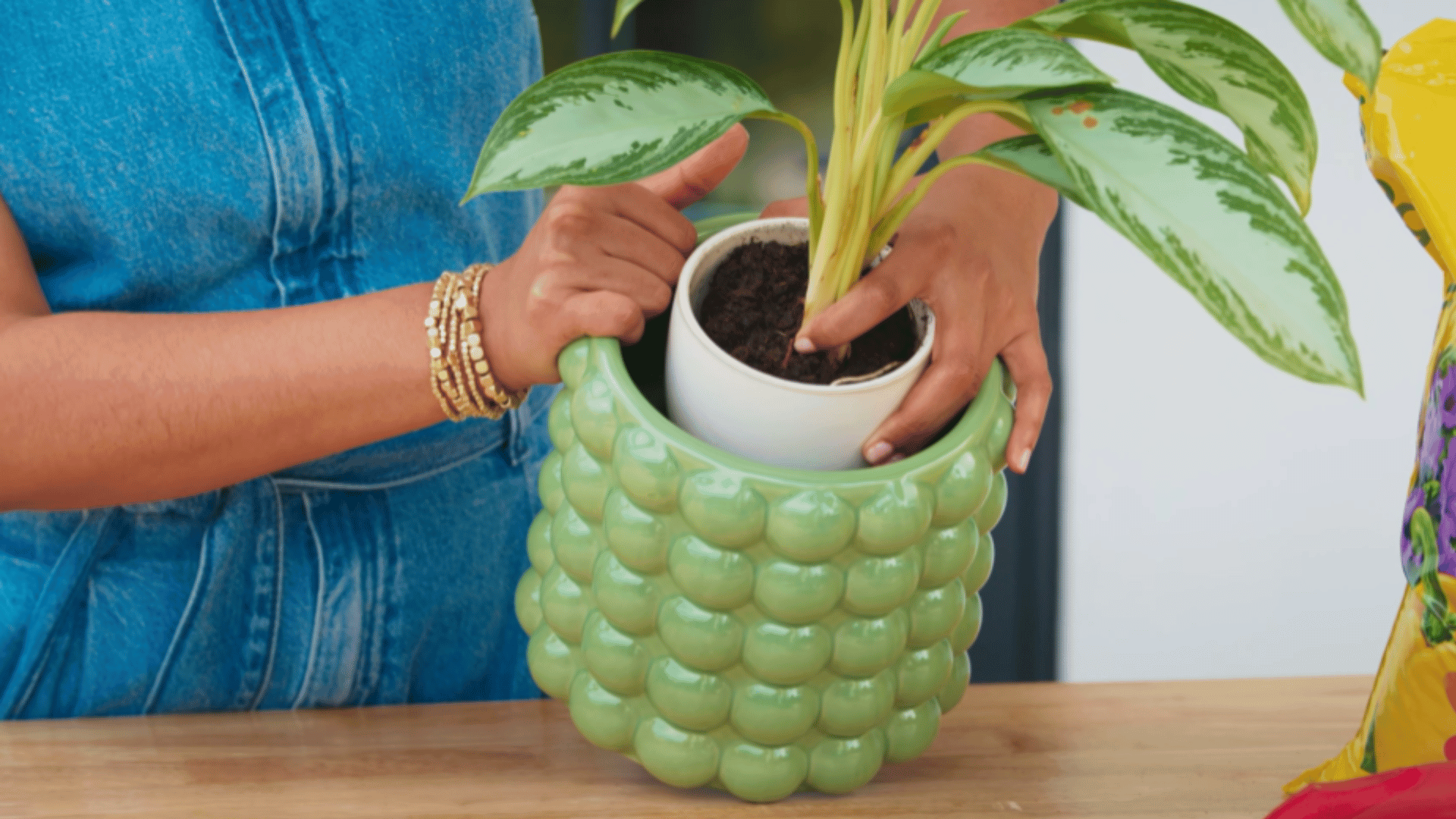 choosing a new plant pot slightly bigger than the old one for repotting
