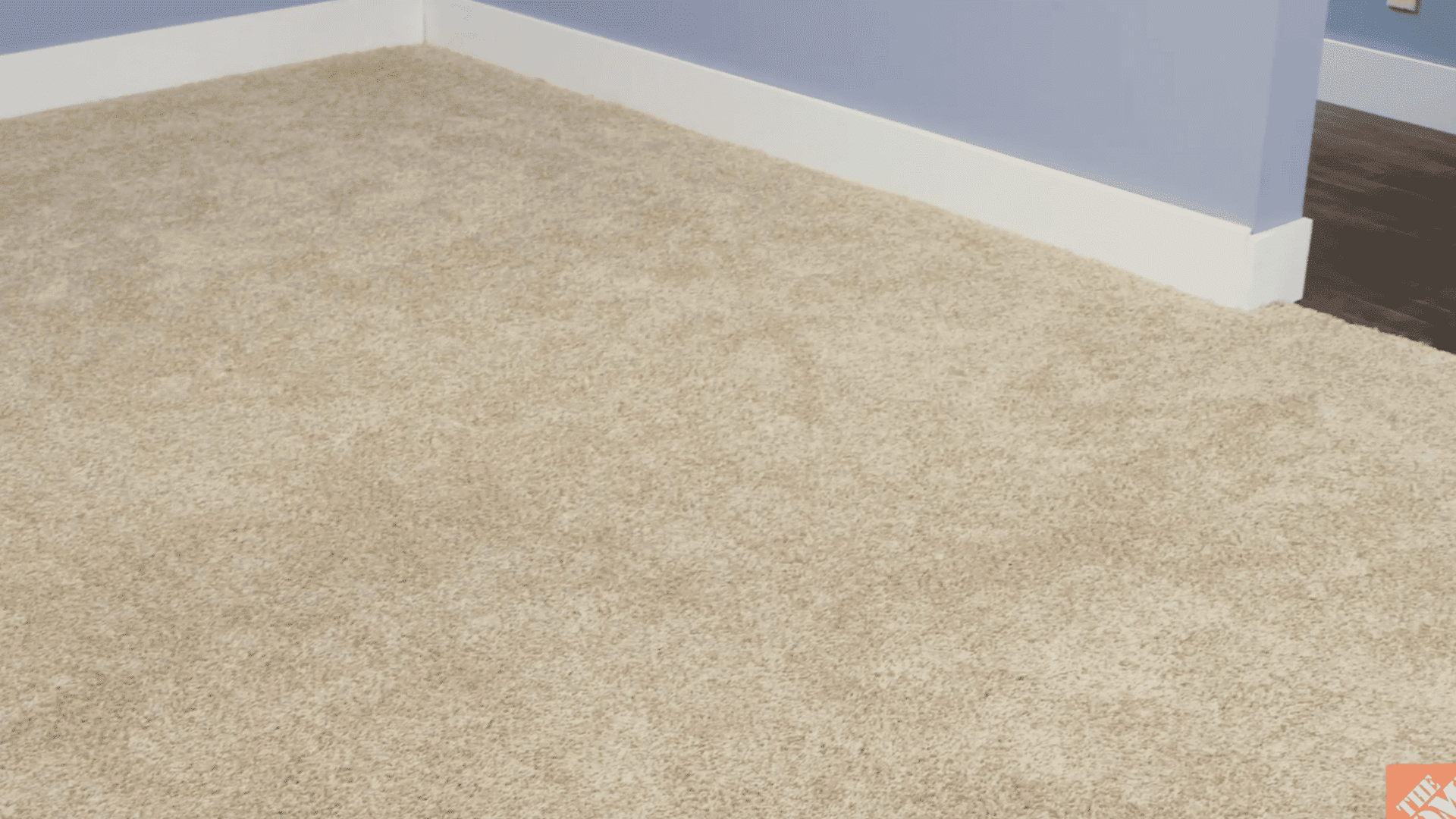 clean beige carpet in an empty room after paint stain has been fully removed