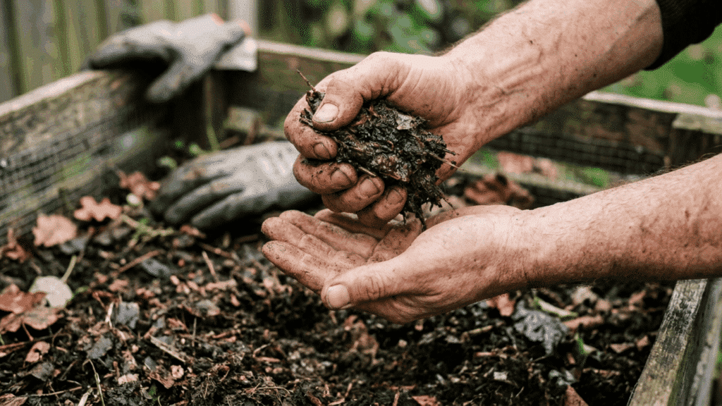 close-up of hands holding dark, moist compost, showing rich texture and readiness in an outdoor compost bin