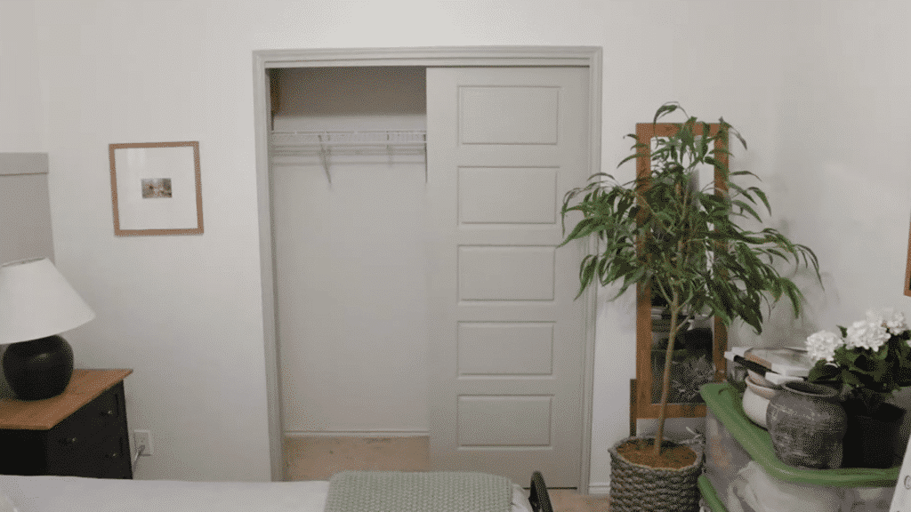 empty bedroom closet with sliding door partly open showing wire shelf and hanging rod, dresser lamp mirror and plants nearby