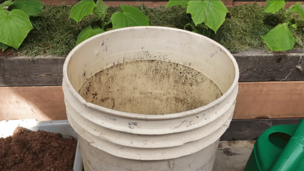 empty white bucket filled with soil placed in garden bed ready for planting