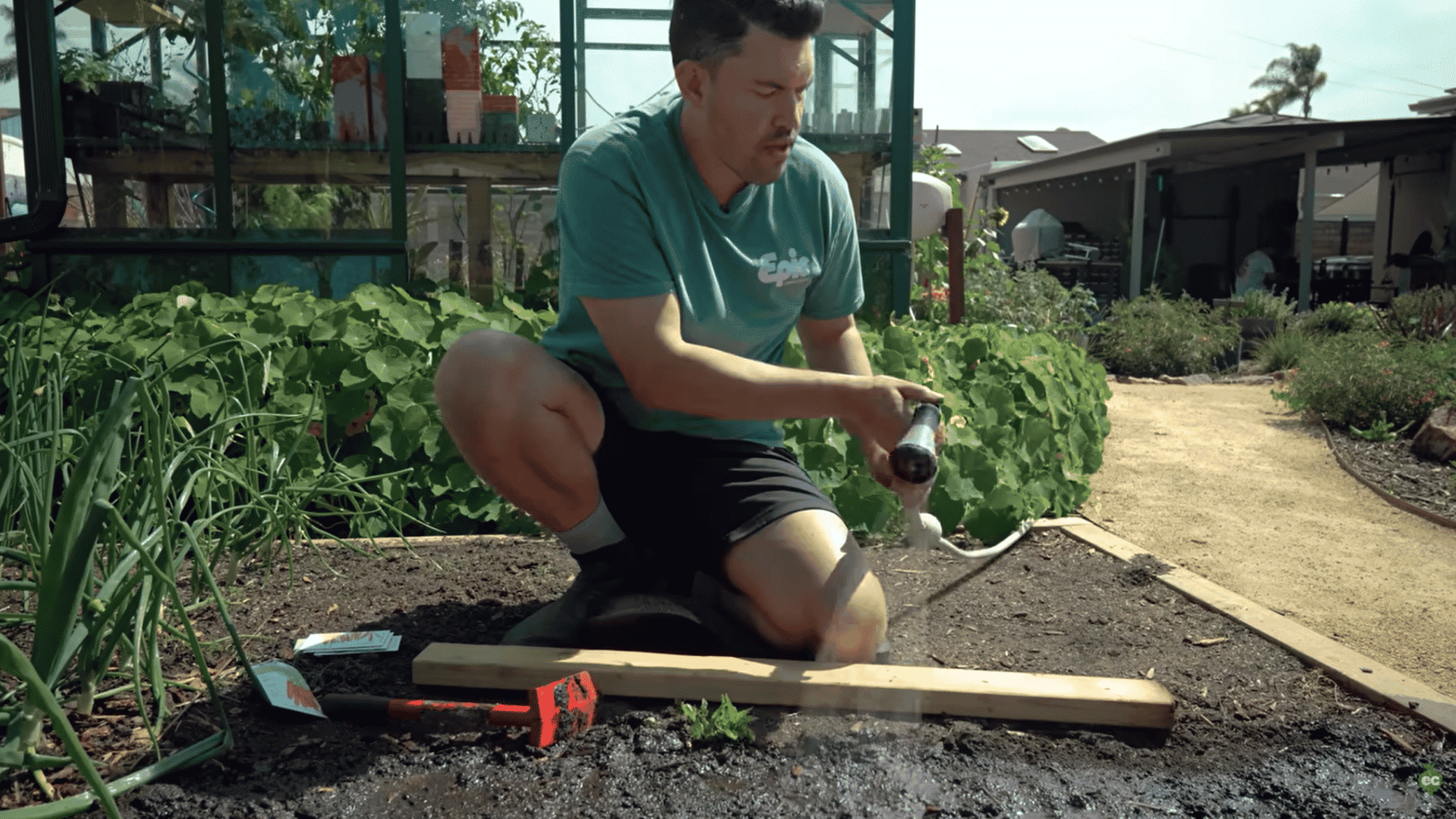 maintain soil moisture during carrot seed germination and sprouting stage