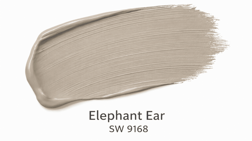 minimalist image of elephant ear sw 9168 on a white background