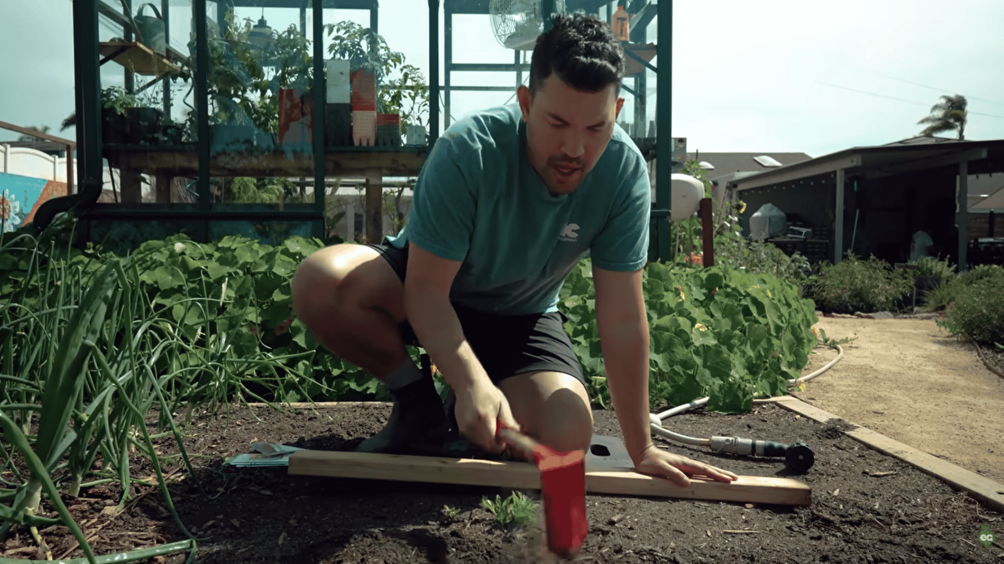 prepare soil and sow carrot seeds in shallow furrows with proper moisture