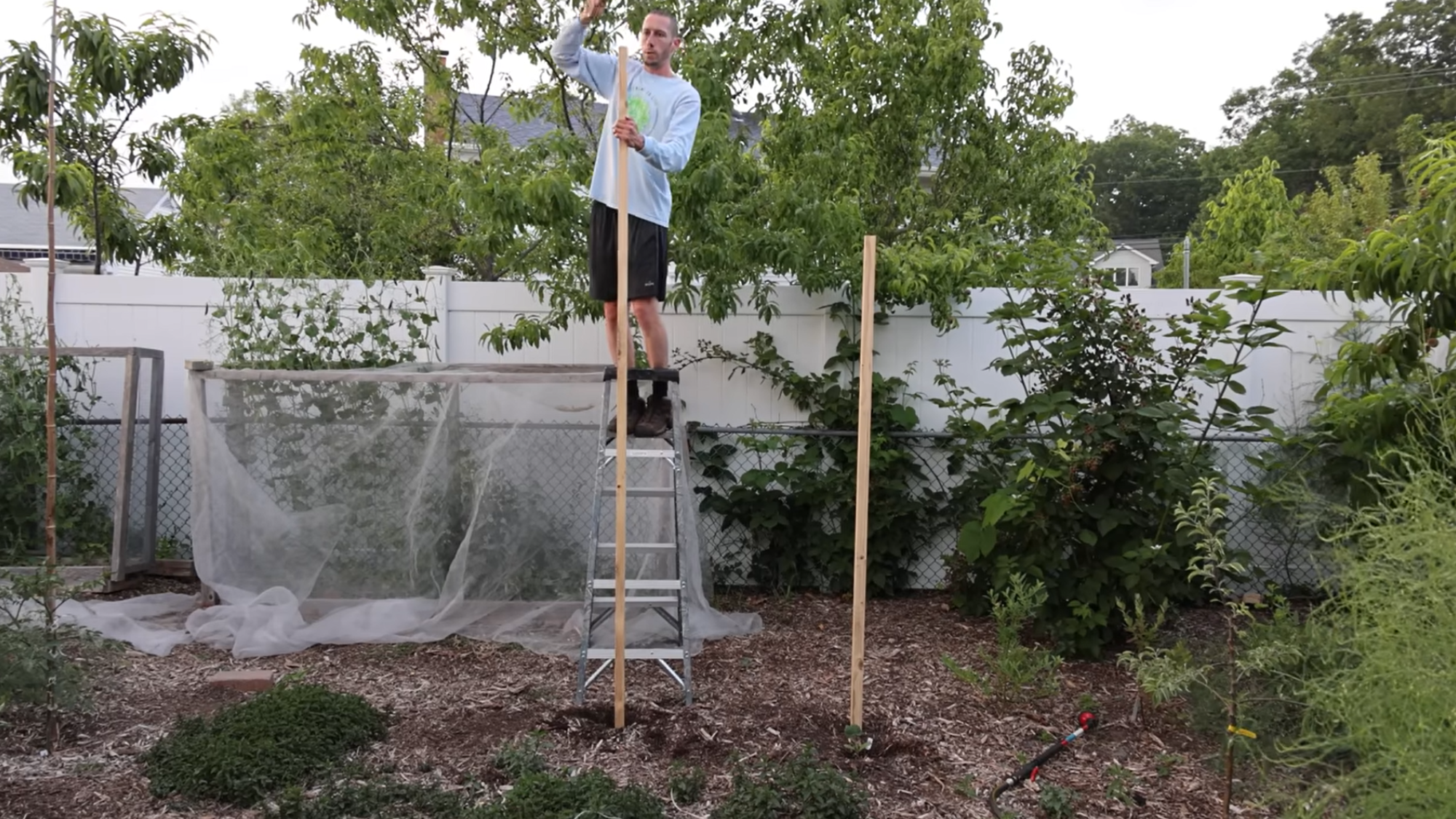 set up a sturdy stake or trellis before planting squash for strong vertical support