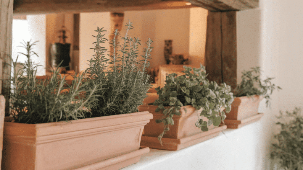 terracotta planters with green herbs and leafy plants sit on a white ledge beneath a rustic wooden beam in a warm interior